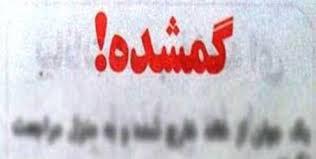  خانواده بی مرد: دکترین ابتکار!!